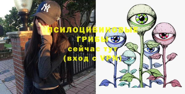 амф Богданович
