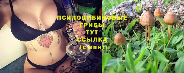 кокаин Богородицк