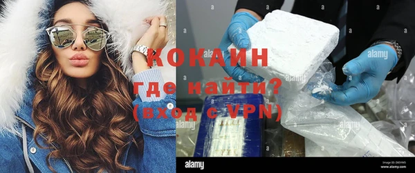 амф Богданович