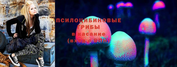 амф Богданович